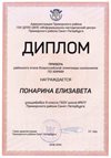 2018-2019 Понарина Елизавета 9м (РО-химия)